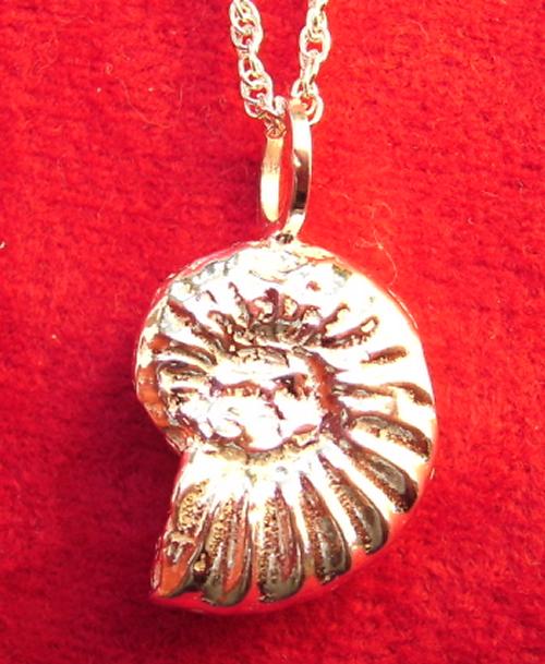 Ammonite pendant